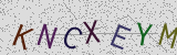 Défi visuel du captcha